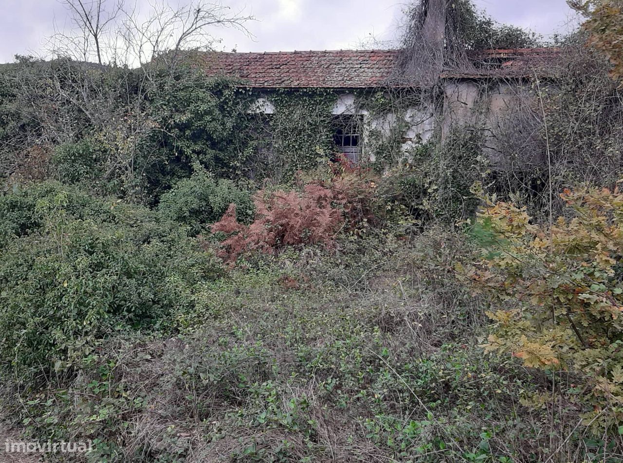 Vende Quinta em Paraíso Castelo Paiva