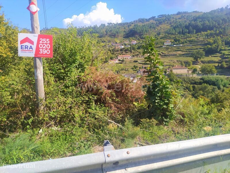 Terreno / Cinfães, Santiago de Piães