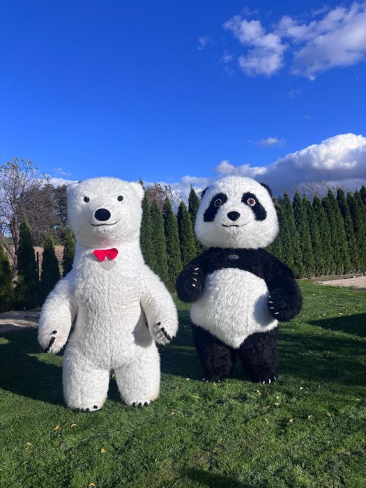 Wynajem dmuchanego stroju   Panda i stitch oraz biały mis