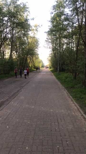 mieszkanie do wynajęcia blisko plaży