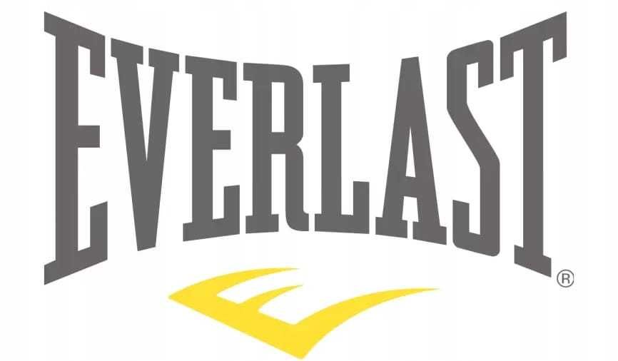Koszulka męska EVERLAST niebieska ( M, L, XL, XXL )