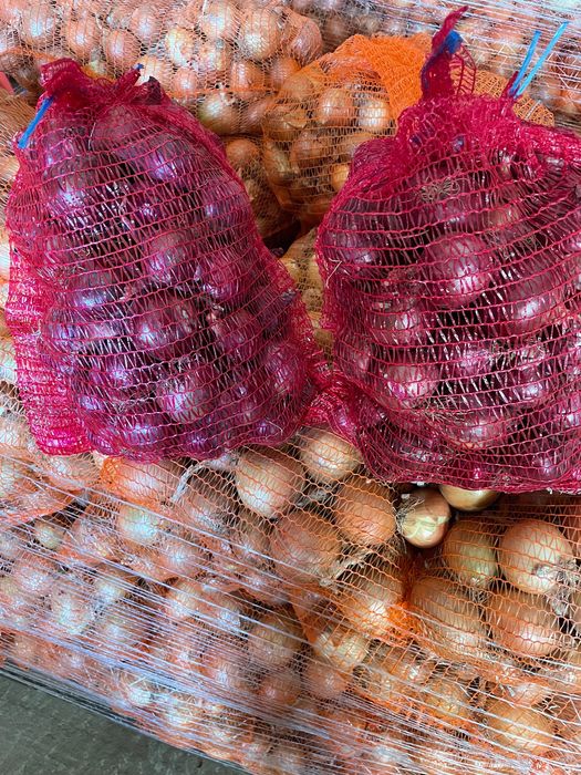 Sprzedam cebulę żółta i czerwona