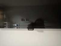 Philips 32 cale smart tv