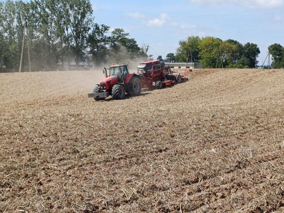 Siew pasowy zbóż i rzepaku horsch focus strip till nie Czajkowski
