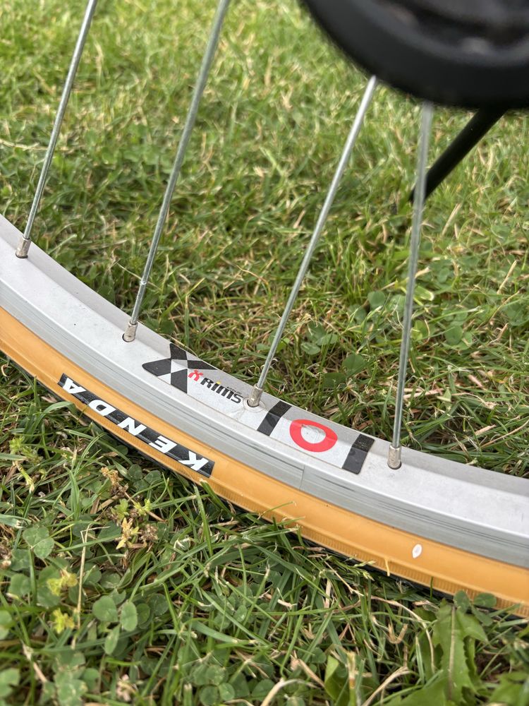 Rower damski Author Linea 19”