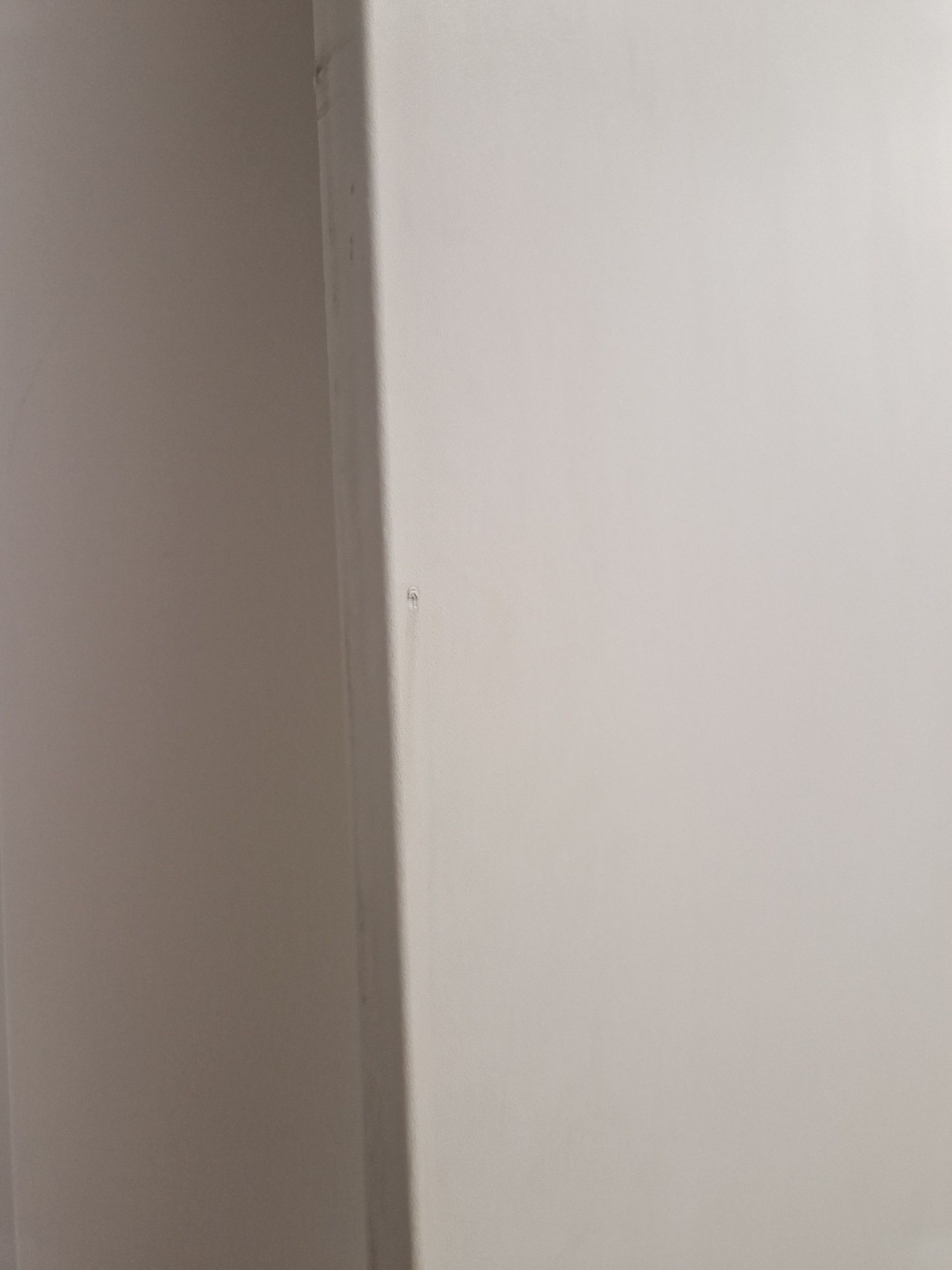 Pax ikea drzwi front szafy biały mat forsand 229 x 50