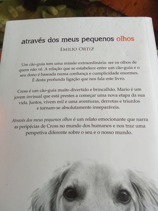 Emílio Ortiz através dos meus olhos