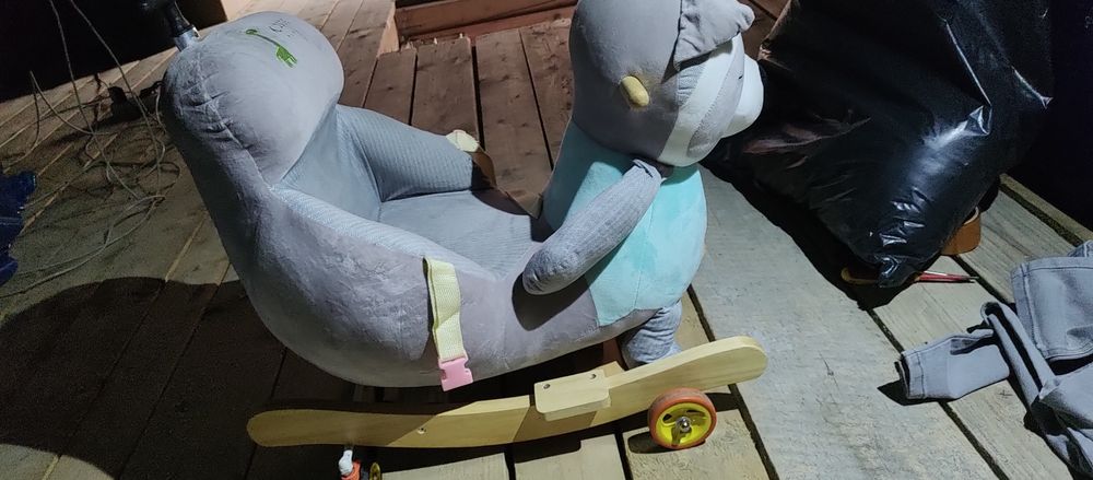 Jezdzacy mis grajacy