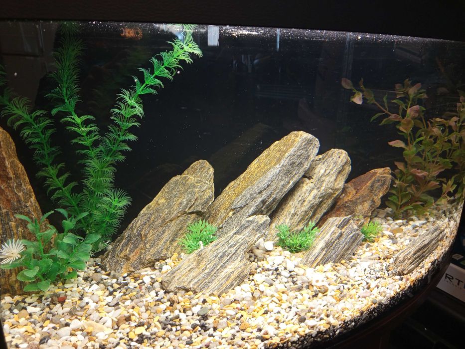 Akwarium panoramiczne + Pokrywa + komoda
