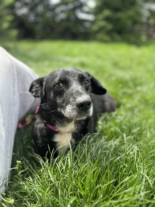 Lesko szuka kąta dla siebie