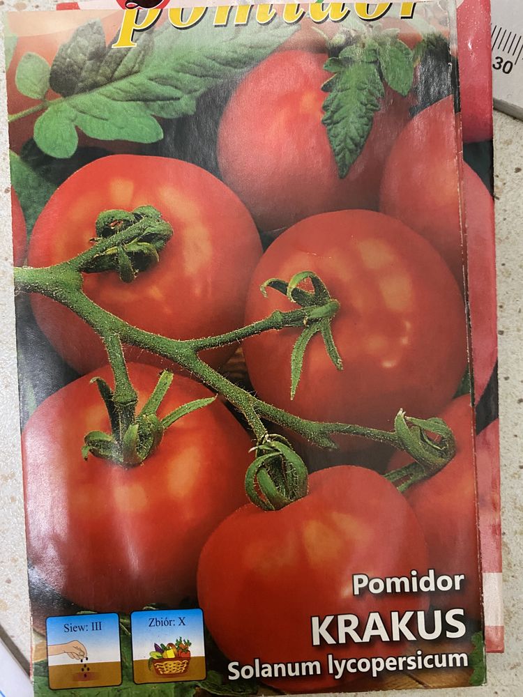 Pomidor Krakus sadzonka