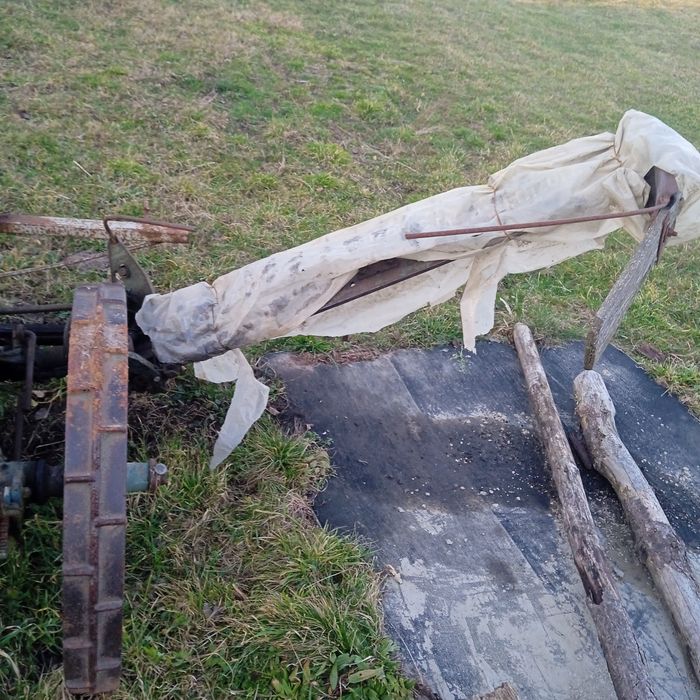 Косарка кінська хороша