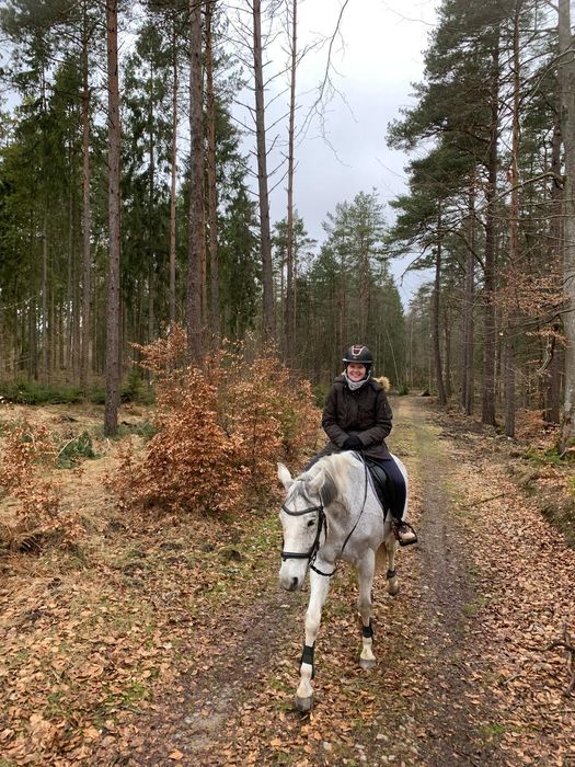 Współdzierżawa dzierżawa konia