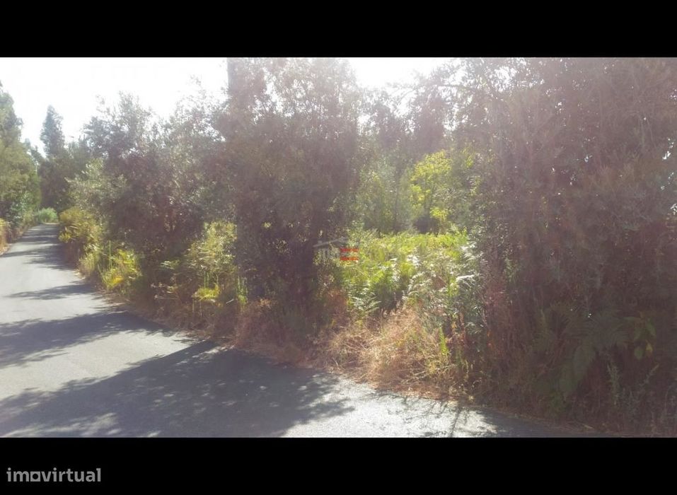 Terreno em Ferreira do Zêzere