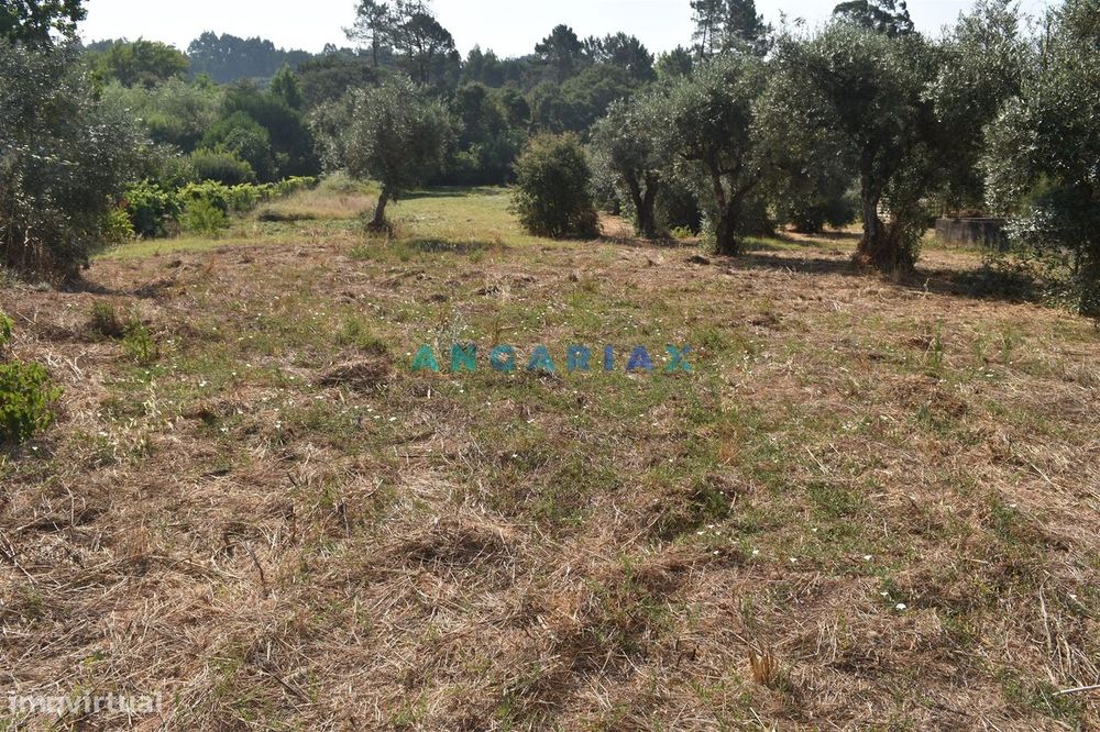 ANG1450 - Terreno para Venda em Figueiró dos Vinhos