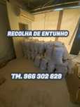 recolha entulho limpeza de armazéns