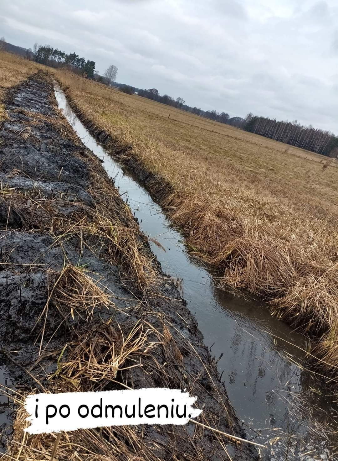 Koszenie i odmulanie rowów melioracyjnych