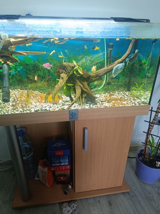 Sprzedam akwarium z szafką