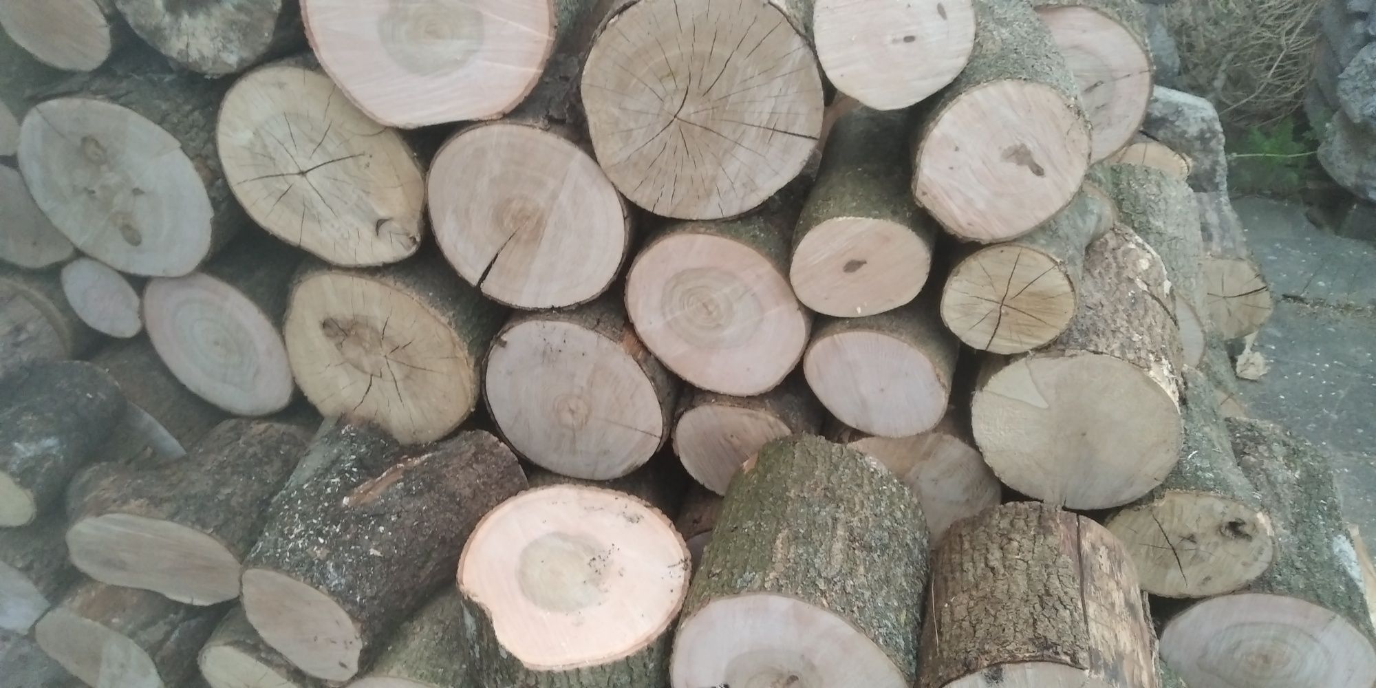 Drewno liściaste sezonowane