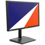 Monitor Samsung 23 cali - 1920x1080 FullHD 4 sztuk LED IPS dla grafik
