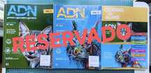 ADN 8 (manual+caderno de atividades)