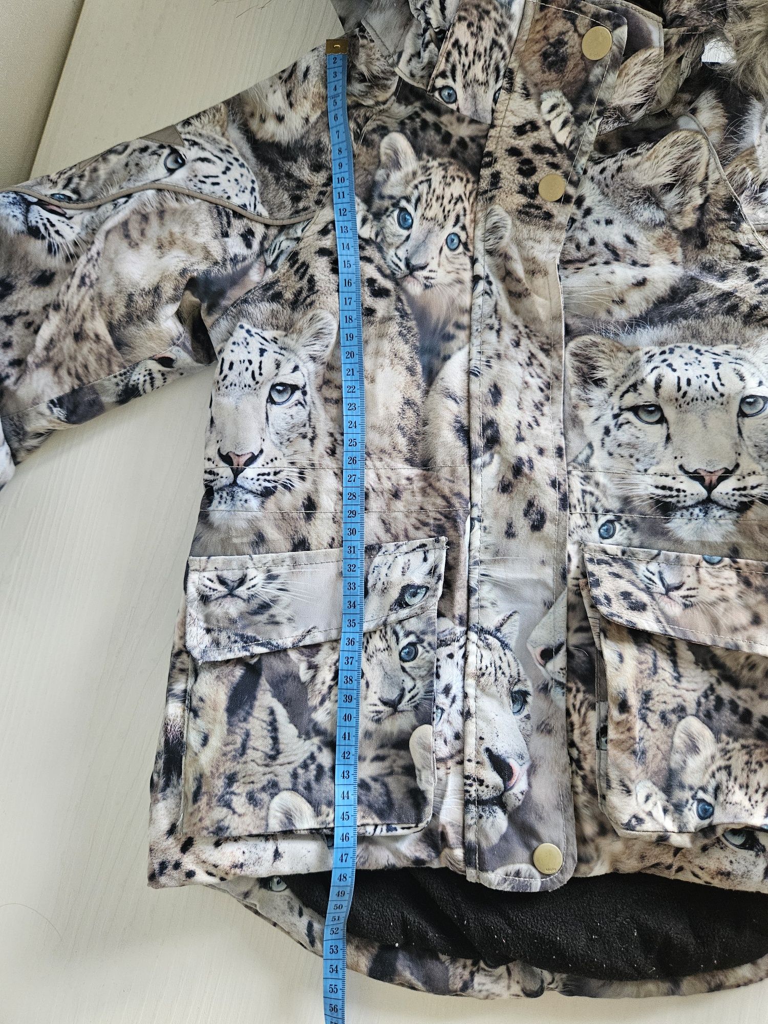 Зимовий комплект куртка і штани Molo 110