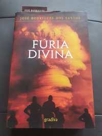 Livro " Fúria divina"