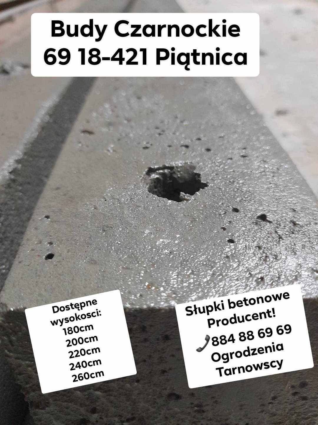 Słupek betonowy słupki betonowe pastwisko siatki leśnej