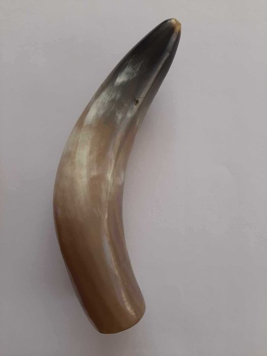 ріг для виготовленя рогу достатку