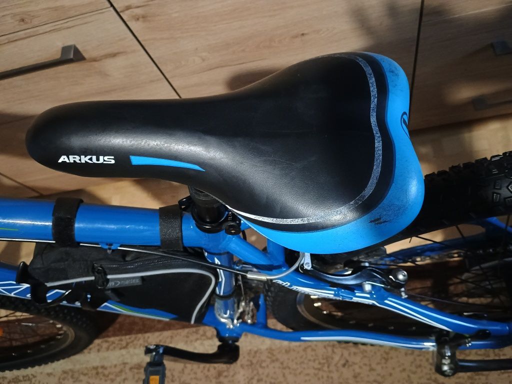 Rower Arkus beryl 290