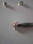 Charms chihuahua , pinczer