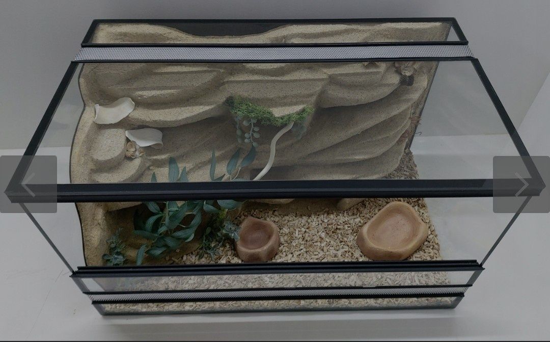 Terarium dla weza