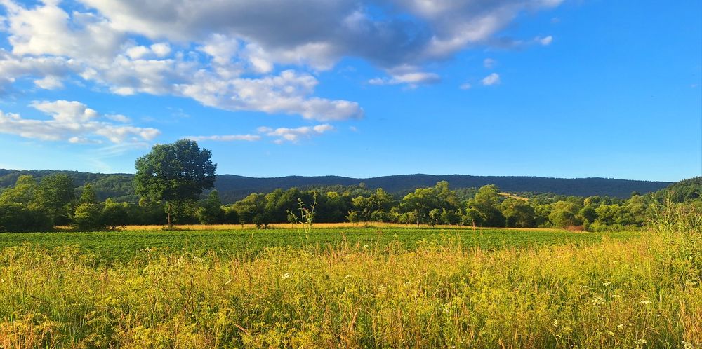 Urlop na odludziu w Domki z Bali Ciche Marzenie Bieszczady