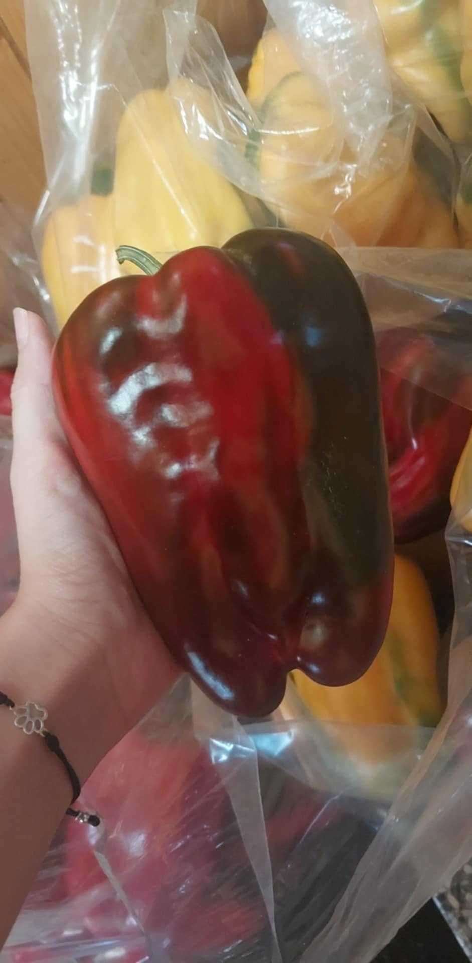 Papryka prosto z krzaka