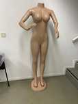 Maniquim feminino