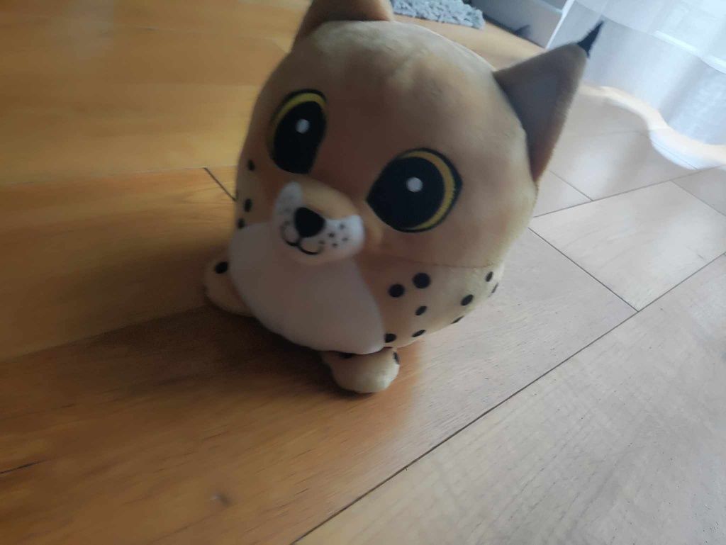 Maskotka stara tygrysek
