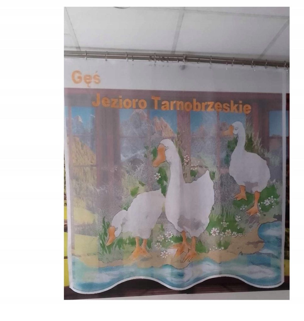 Firanka gąski 150x150cm firana żakard dla dzieci gęsi kolorowe firany
