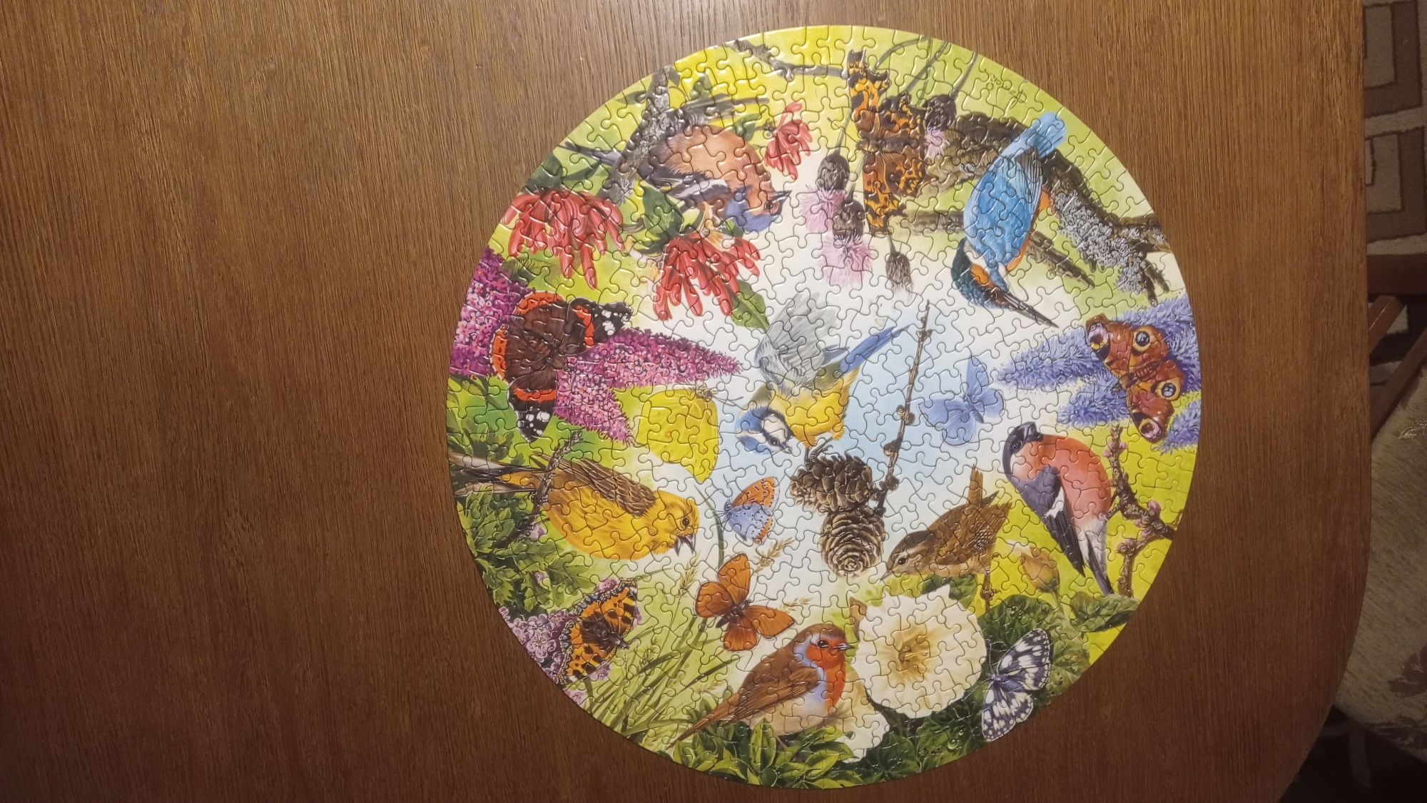 Puzzle Waddingtons okrągłe birds and butterflies 500