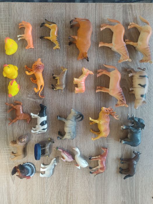 Домашние и дикие животные.