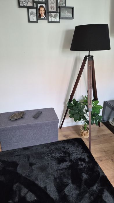 Candeeiro,bau ,flores decorativas