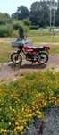 Sachs V4 Ranger.