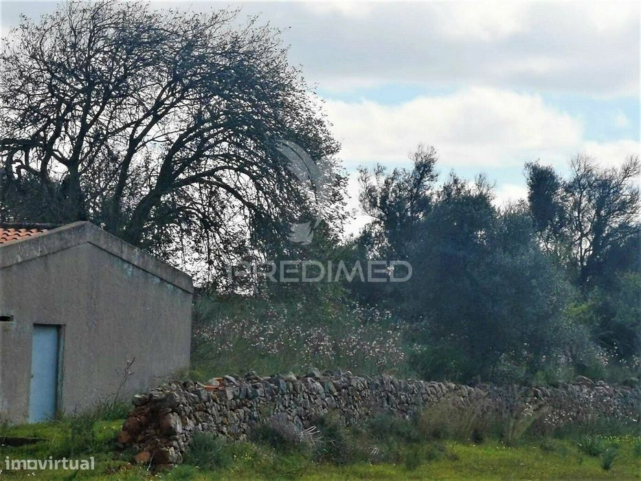 Terreno de 5240 m2, que contém também uma parte urbana com 80 m2,