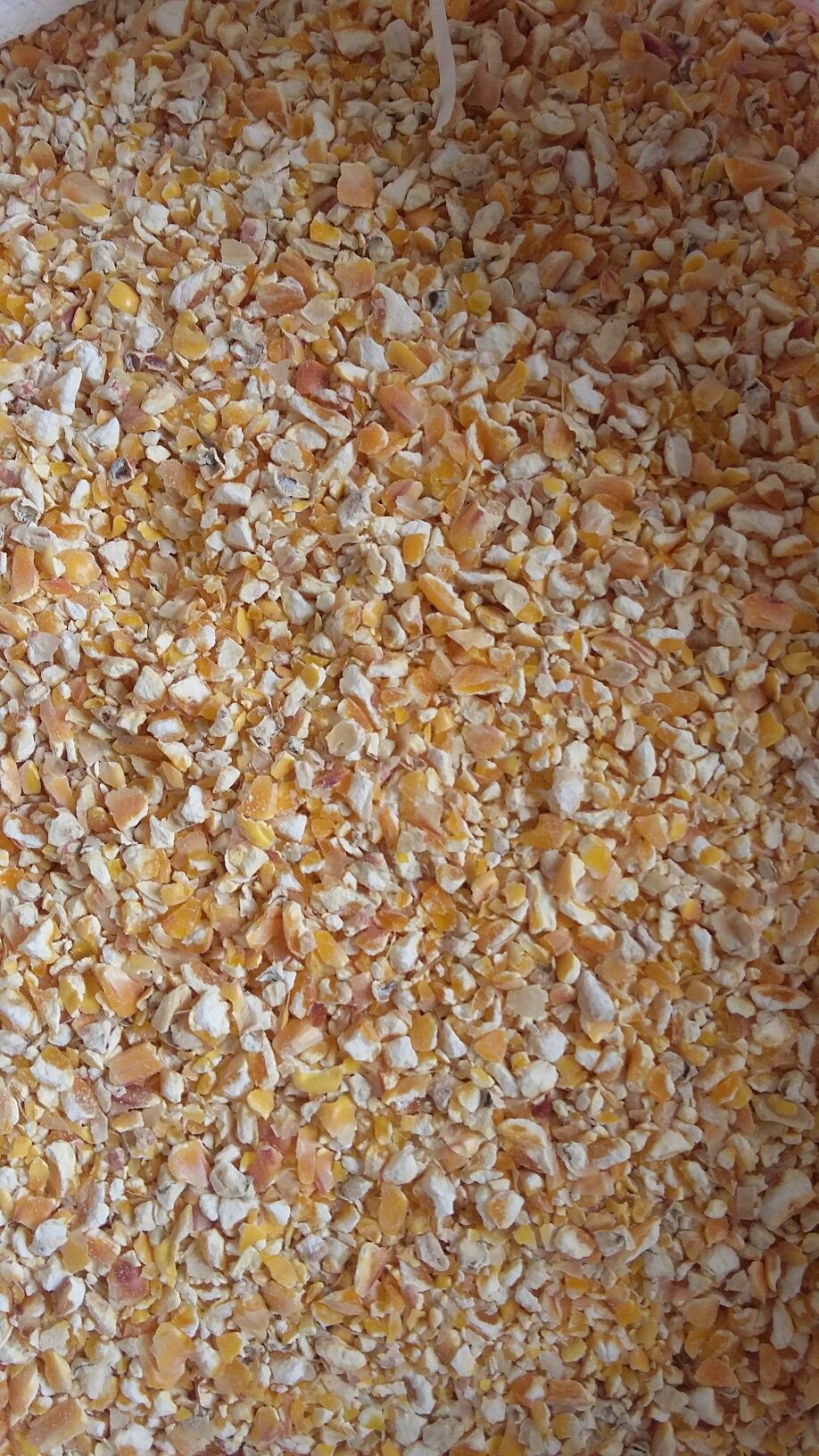 Продам пшеницю,цілу кукурудзу,  мелену кукурудзу  та  ячмінь