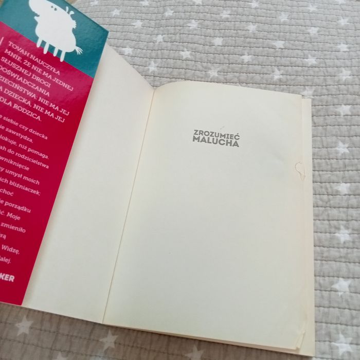 Zrozumieć malucha, Tovah P.Klein -poradnik