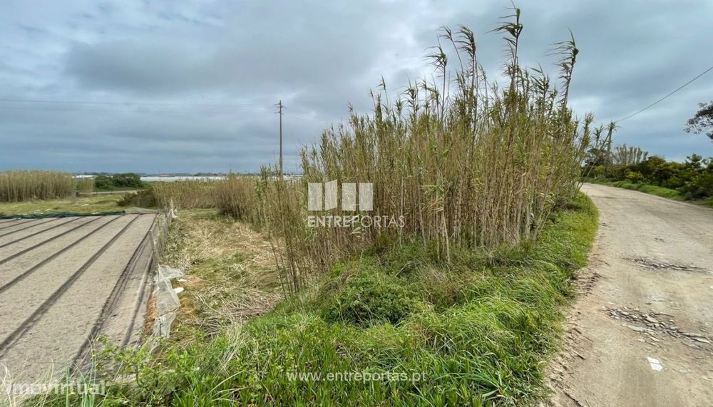 Venda de Terreno de Terreno Agrícola, em Estela, Póvoa de Varzim