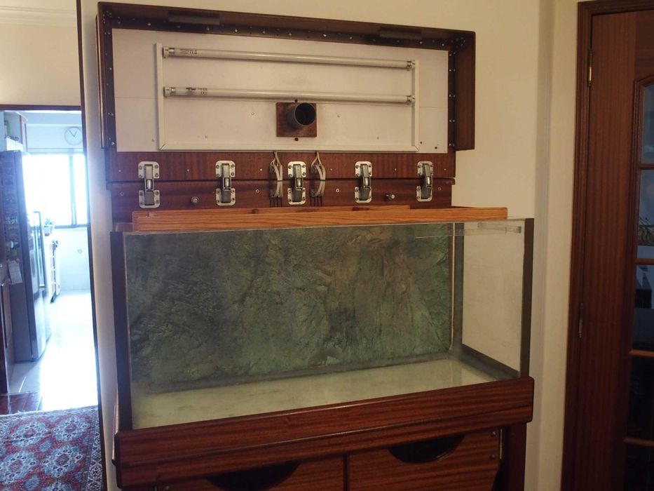 Venda de Aquário completo com filtros e móvel