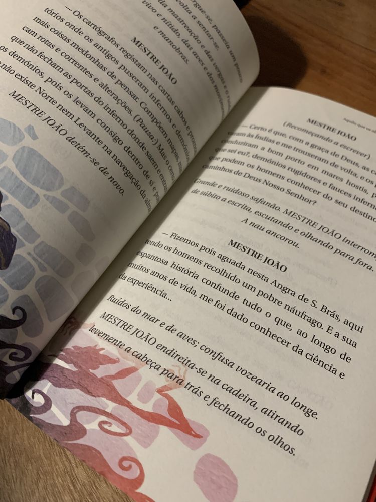 Livro O Adamastor