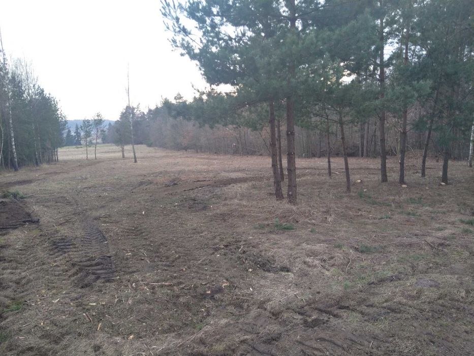 Mulczowanie Mulczer leśny Wgłębny Karczowanie Czyszczenie Wycinka