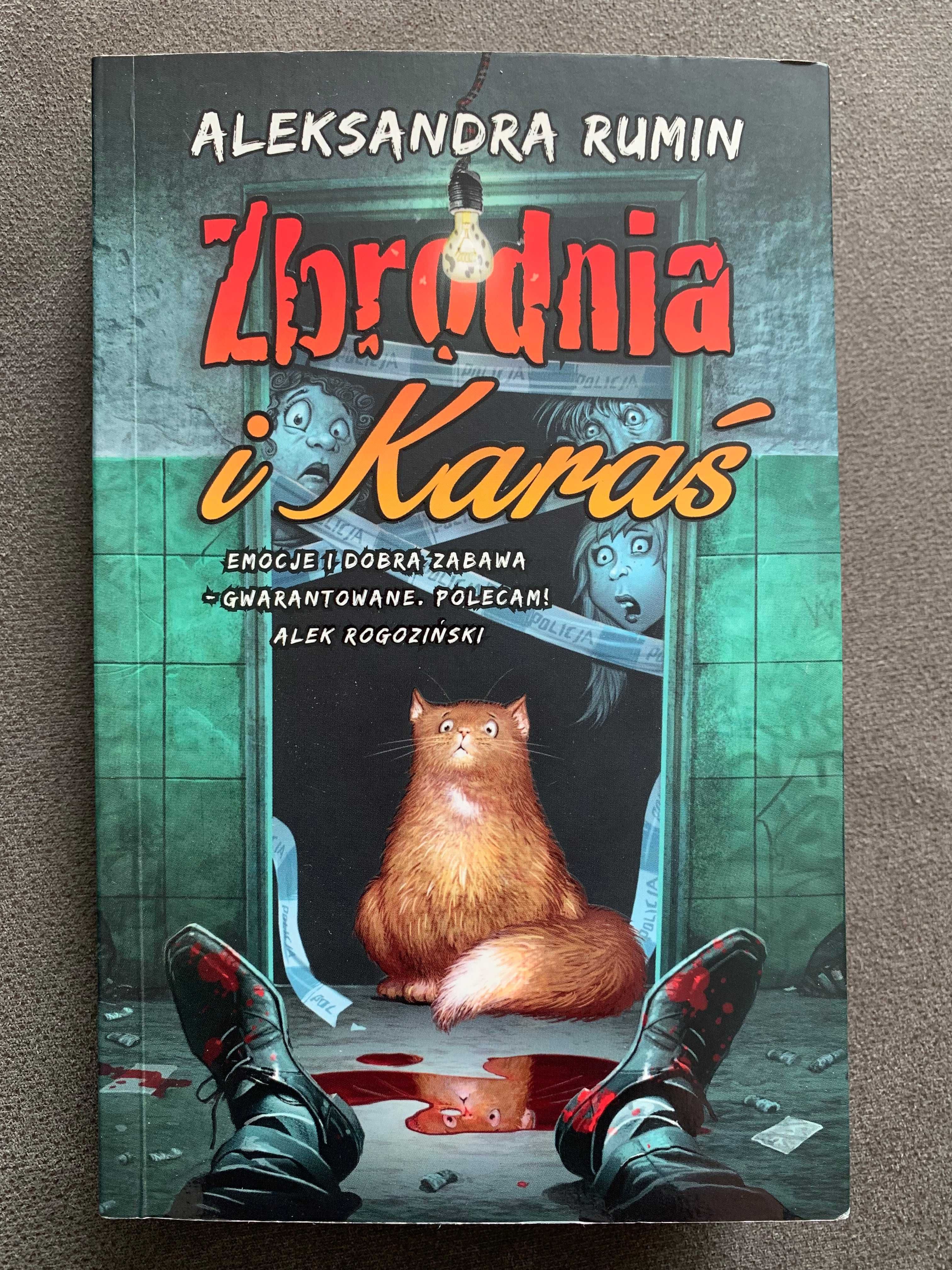 Książka "Zbrodnia i Karaś" Aleksandra Rumin używana
