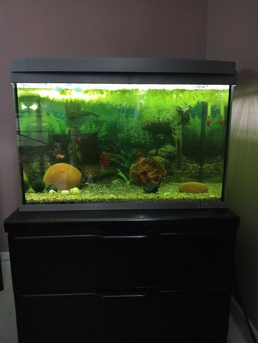 Akwarium Tetra LED 60L . Z całym wyposażeniem